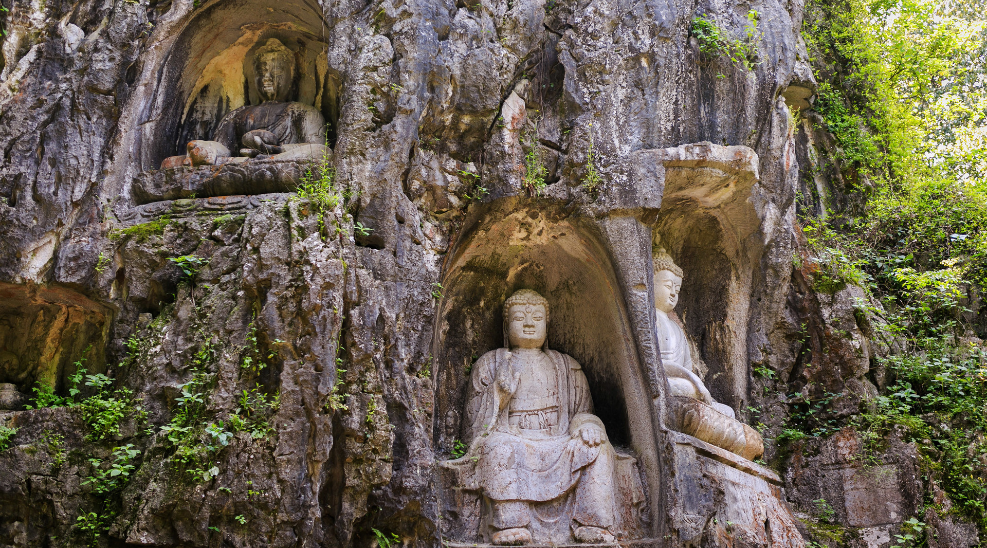 飛來(lái)峰封面圖