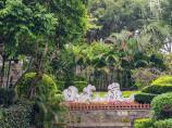 【B3線 秀美鷺島 商務(wù)游】< 廈門(mén)鼓浪嶼 帆船旅拍3天動(dòng)車團(tuán)>