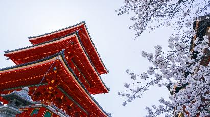 【和風悅景】<本州雙古都溫泉美食賞櫻六天游>