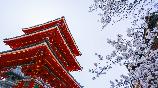 暑期【和風(fēng)經(jīng)典】<本州三古都の東京富士山大阪京都奈良鐮倉(cāng)6天>深圳航空深圳往返直飛