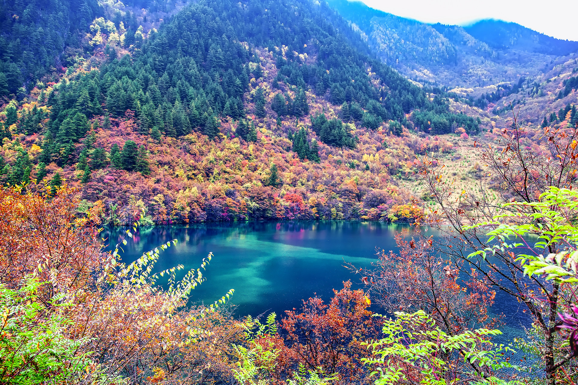 九寨溝風(fēng)景封面圖